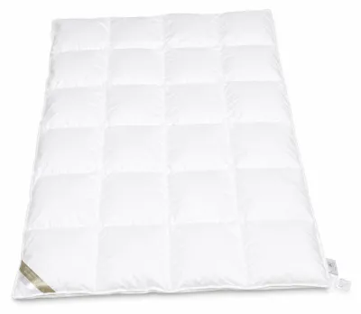 Produktbild von Hofmann Franken Daunenbett Daunendecke 4x6, 135x200   5 cm Außensteg 100% Daunen