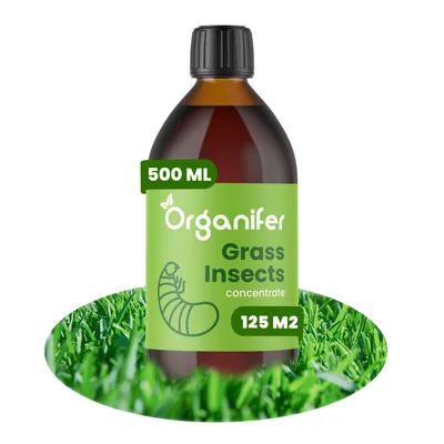 Zdjęcie produktu dla Koncentrat na Owady Trawnikowe – 500 ml na 125 m2 - Organifer