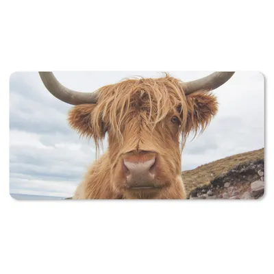 Produktbild von MuchoWow® Mauspad Mousepad Schottischer Highlander - Hörner - Berg 60x30 cm - Mousepads - Maus Mat - Pad - Mausunterlage - Nachhaltig