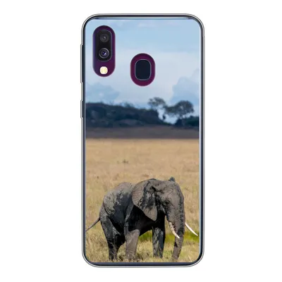 Produktbild von MuchoWow® Handyhülle Schutzhülle Hülle für Samsung Galaxy A40 Elefant - Gras - Tiere - Natur Silikon Softcase Handy Hülle - Handy-Tasche