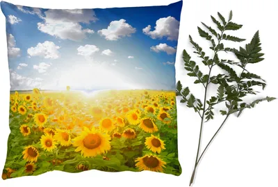 Produktbild von MuchoWow® Zierkissen Sofakissen Wohnzimmer Dekokissen 60x60 cm Sonnenblume - Sonne - Wolken - Sitzfläche - Foto Polster