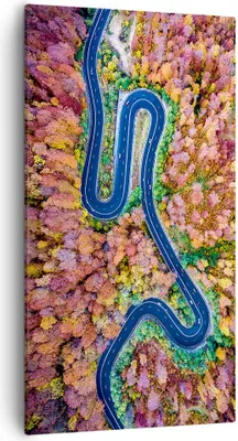Produktbild von Bild auf Leinwand - Leinwandbild - Einteilig - Kurvenreich Weg Wald - 55x100cm - Wand Bild - Wanddeko - Wandbilder - Leinwanddruck - Bilder - Wanddekoration - Leinwand bilder - PA55x100-4291