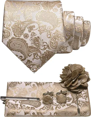 Produktbild von Krawatten-Set, Paisley-Design, mit Einstecktuch, Krawattenklammer und Blumenbrosche, für jeden Anlass