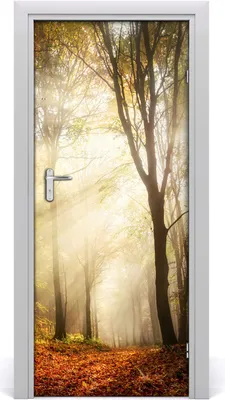 Produktbild von Tulup Türaufkleber 85x205 cm Dekorative Aufkleber Selbstklebend Wasserdichte Tapete Abnehmbar Schlafzimmer Wohnzimmer Wohnkultur - Wald im Herbst