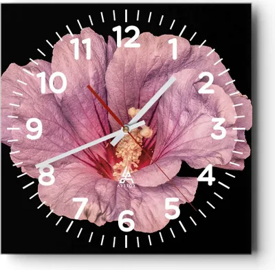 Produktbild von Wanduhr - Quadrat - Glasuhr - Hibiskus Blume Rosa - 40x40cm - Schleichendes Uhrwerk - Lautlos - zum Aufhängen bereit - Dekoration Modern - Wanddekoration aus Glas - C4AC40x40-4481