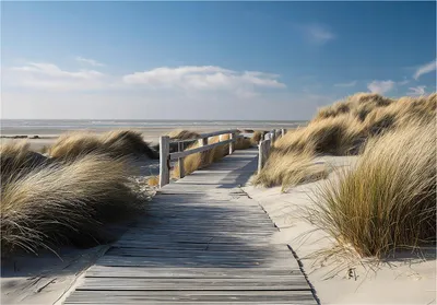 Produktbild von Fototapete Strand Meer Natur - 350x250 cm - Vliestapete Wohnzimmer Schlafzimmer - Vlies Fototapete Beige - 16053VX7