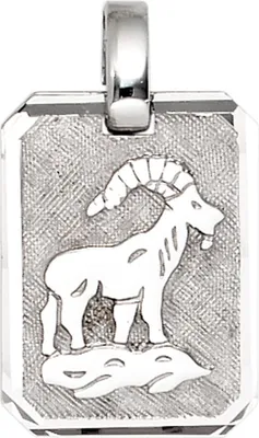 Produktbild von Anhänger Sternzeichen Steinbock aus 925 Silber teilmattiert Horoskop