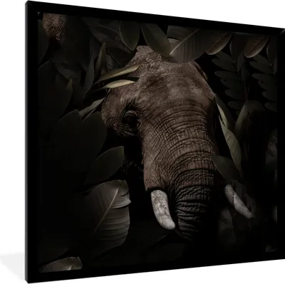 Produktbild von MuchoWow® MuchoWow® Gerahmtes Poster Elefant - Tiere - Blätter - Botanisch 40x40 cm - Poster mit zchwarzem Bilderrahmen - Mit Rahmen - Wanddekoration Schlafzimmer