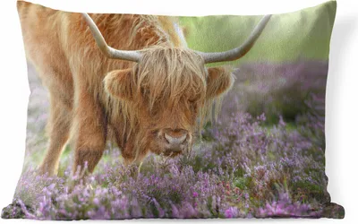 Produktbild von MuchoWow® Outdoor Kissen - Schottische Hochlandrind - Blumen - Natur - 50x30 cm - Wetterfest - Lounge Kissen - Sofa kissen - Wohnzimmer Dekoration