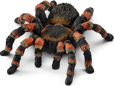 Produktbild von Schleich 17053 - Wild Life - Vogelspinne, Tarantula (14829)