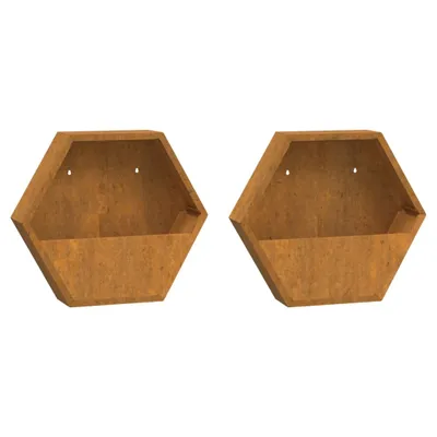 Two hexagonal wall planters are shown against a white background.