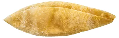 A single dried pig's bladder on a white background.