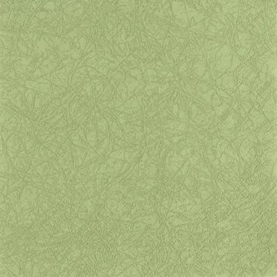 Produktbild von 20 Servietten Modern Colours moos green 33x33cm