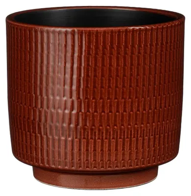 William Topf rond Braun