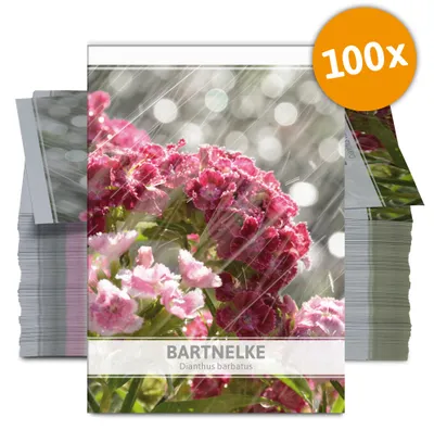 Produktbild von Bartnelke für Werbezwecke (100 Tütchen) | Bartnelkesamen von FLORTUS