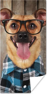 Produktbild von MuchoWow® Poster Hund - Brille - Bluse - Hipster 80x160 cm - Kinderzimmer