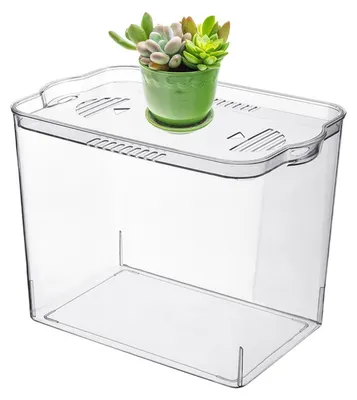Obrázek produktu pro Průhledné akvárium pro drobné ryby