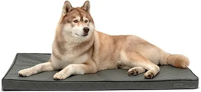Produktbild von Hundematte Orthopädisch mit Memory-Schaumstoff, 118 x 80 cm, Grau | Gelenkschonendes Hundekissen, pflegeleichtes Kunstleder, orthopädisches Hundebett mit abnehmbaren Bezug & Anti-Rutsch-Boden