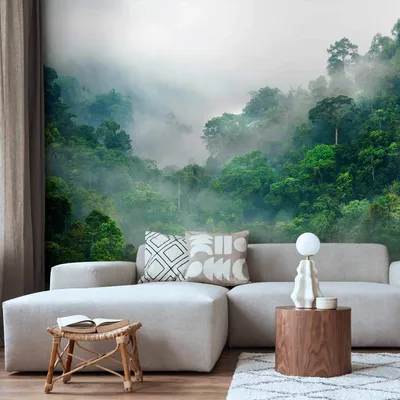Produktbild von Vlies Fototapete - Morning Fog 250x175 cm Landschaften c-B-0346-a-a