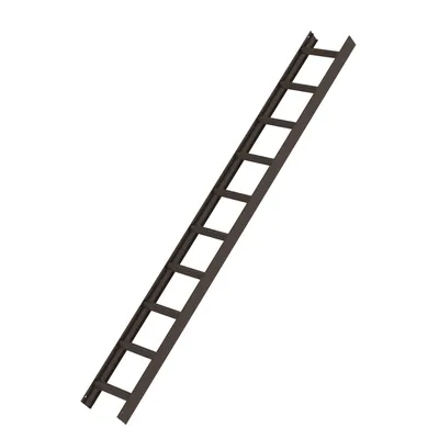 Produktbild von MUNK Aluminium Dachleiter 10 Sprossen braun