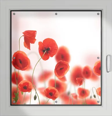 Produktbild von Wallario Lichtschutzbild, Dekorativer Sichtschutz Sonnenschutz 96 x 100 cm mit Motiv: Leuchtende Mohnblumen - Rote Mohnblumenblüten - Verdunklung ohne Bohren