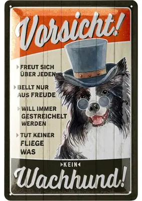 Produktbild von Retro Blechschild Vorsicht kein Wachhund, Hunde Geschenke, lustiges Warnschild als Geschenk für Hundeliebhaber und Hundefreunde, 20x30cm