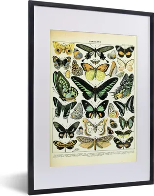 Produktbild von MuchoWow® Gerahmtes Poster Tiere - Schmetterlinge - Grün 30x40 cm - Poster mit Schwarzem Bilderrahmen Wandposter Rahmen Foto Bilder - Wandposter Schlafzimmer