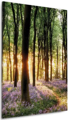 Produktbild von Wallario Premium Leinwandbild Blaue Hasenglöckchen im Wald mit Sonnenstrahlen in Größe 60 x 90 cm