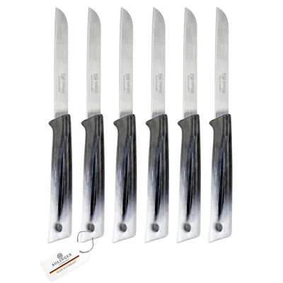 Produktbild von Pure Line Solingen Obstmesser Set 6-teilig I Tomatenmesser, Scharfe Küchenmesser mit Wellenschliff I Ergonomischer Griff, Edelstahl Messer für Obst