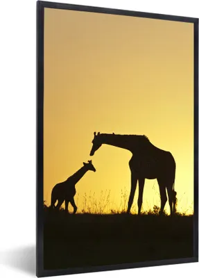 Produktbild von MuchoWow® MuchoWow® Gerahmtes Poster Giraffe - Scherenschnitt - Kalb 40x60 cm - Poster mit zchwarzem Bilderrahmen - Papierdruck - Wandbilder