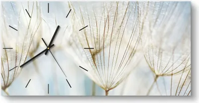 Produktbild von DEQORI Glasuhr 60x30 cm Modern 'Löwenzahnsamen nah' Wanduhr Glas Uhr Design leise