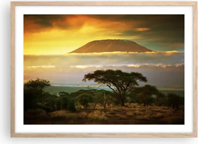 Produktbild von Gerahmtes Poster - Rahmen in heller Eiche - Safari Tierwelt Berg Kenia - 70x50 cm - Wand Bild - Wanddeko - Wandbilder - Wandposter - Bilderrahmen - Bilder - Kunstdruck - Wandbild - P2NAA70x50-3170