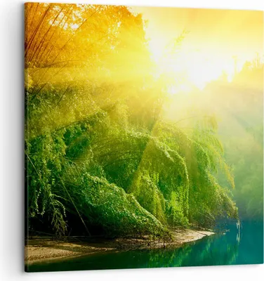 Produktbild von Bild auf Leinwand - Leinwandbild - Tropen Bäume Fluss - 50x50cm - Wand Bild - Wanddeko - Wandbilder - Leinwanddruck - Bilder - Kunstdruck - Wanddekoration - Leinwand bilder - Wandkunst - AC50x50-0166