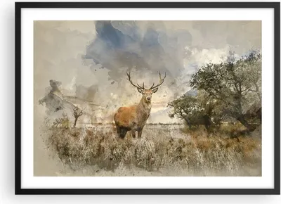 Produktbild von Gerahmtes Poster - Schwarzer Rahmen - rotwild natur - 70x50 cm - Wand Bild - Wanddeko - Wandbilder - Kunstposter - Wandposter - Bilderrahmen - Bilder - Kunstdruck - Wandbild - P2BAA70x50-3465