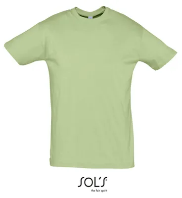 Image de SOLs 11380 | Regent 150 T-Shirt Hommes - Couleur : Sage Green - Taille : L