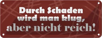 Produktbild von vianmo Blechschild 10x27 cm Durch Schaden wird man klug Dekoration Spruch Zitat