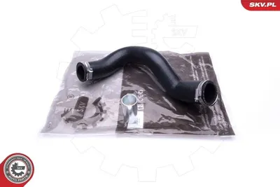 Immagine prodotto di ESEN SKV 24SKV881 Tubo aria di sovralimentazione per RENAULT LAGUNA III (BT0/1) Latitude berlina