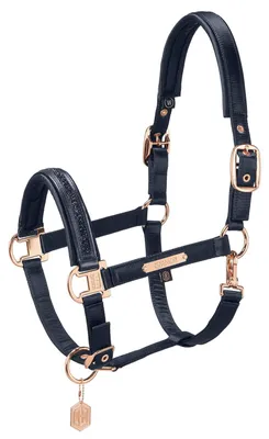 Image de Eskadron licol SATIN JEWEL DOUBLE PIN navy Heritage HW 23/24, taille:W