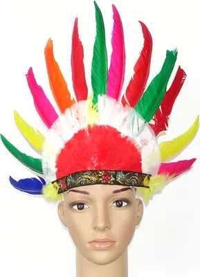 Produktbild von Wilder Westen Feder Kopfschmuck