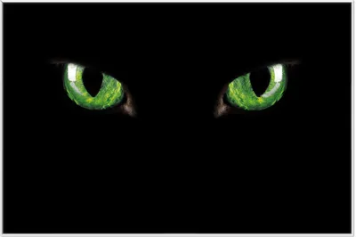 Produktbild von Wallario Wandbild Grüne Katzenaugen bei Nacht, Größe: 61 x 91,50 cm, Poster mit weißem Aluminiumrahmen
