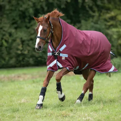 Produktbild von Horseware Rambo Wug Turnout Lite 50g - Burgundy, 155