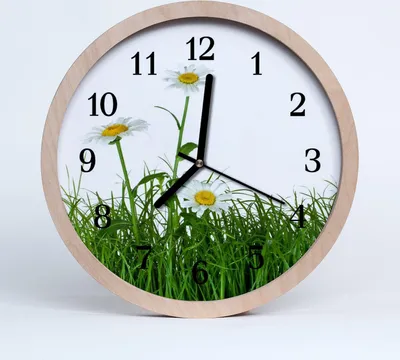 Produktbild von Holzuhr 30fi cm wanduhr - Gänseblümchen Blumen