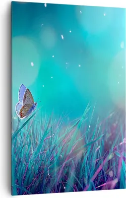 Produktbild von Bild auf Leinwand - Leinwandbild - Einteilig - Schmetterling Wiese Blume - 80x120cm - Wand Bild - Wanddeko - Wandbilder - Leinwanddruck - Wanddekoration - Leinwand bilder - Wandbild - PA80x120-4077