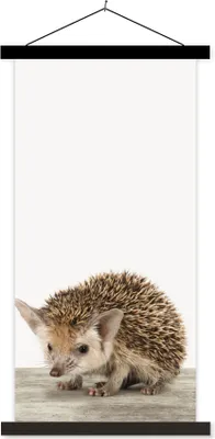 Produktbild von MuchoWow® Textilposter Igel - Tiere - Jungen - Mädchen 90x180 cm mit schwarzem Rahmen - Dekoration Wohnzimmer