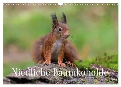 Produktbild von Niedliche Baumkobolde (Wandkalender 2027 DIN A3 quer), CALVENDO Monatskalender