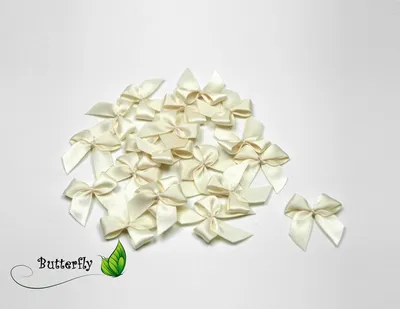 Produktbild von Satinschleifen 25mm, 20 Stück, Farbe:ivory / elfenbein 810