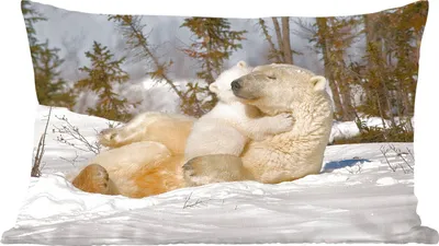 Produktbild von MuchoWow® Zierkissen Sofakissen Wohnzimmer Dekokissen 50x30 cm Eisbär - Schnee - Höhle - Jungtier - Wohnzimmerdekoration - Polster mit Photo