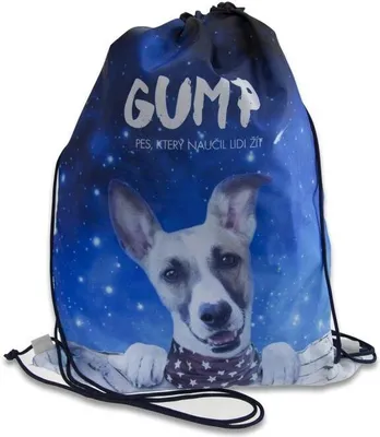 Image de Sac à pantoufles Gump - bleu