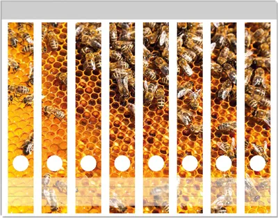Produktbild von Wallario Ordnerrücken Sticker, selbstklebend für schmale Ordner, 8 Stück, Motiv Honigwaben mit Bienen