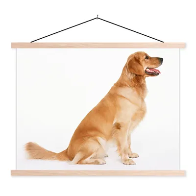 Produktbild von MuchoWow® Textilposter Seitenansicht eines sitzenden Golden Retrievers 40x30 cm mit holzfarbenen Rahmen - Bilder